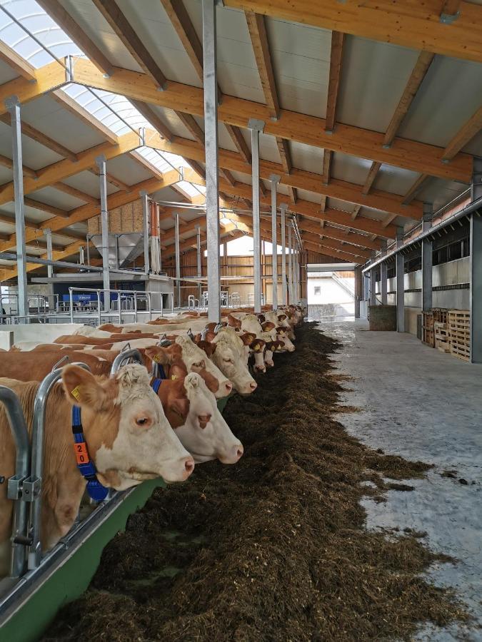 Woferlhof, Ferienhof Boxhorn Bobrach Luaran gambar